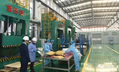 自然資源部領導赴淮調研 深化節約集約利用，評估成效促發展